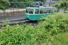 WhatsApp-Bild-2024-07-03-um-17.18.55_2f59ea8c