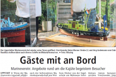 Der Patriot 15.06.2017